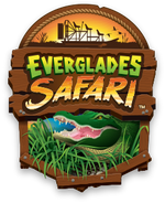 Everglades Safari