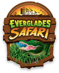 Everglades Safari