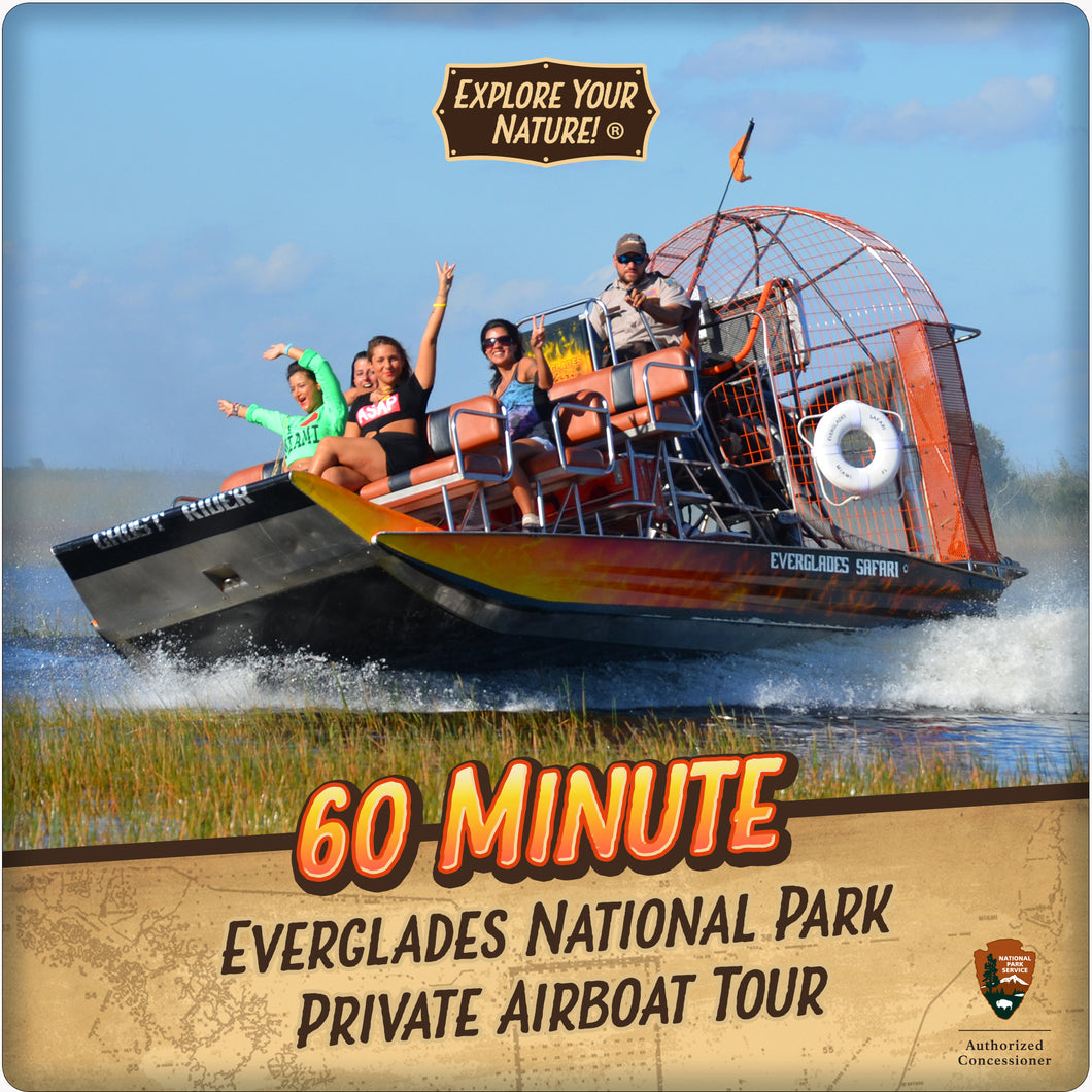 Everglades National Park Private Airboat Tour - 60 Minute